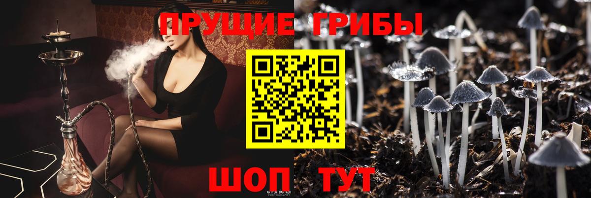 Псилоцибиновые грибы MAGIC MUSHROOMS Гусиноозёрск